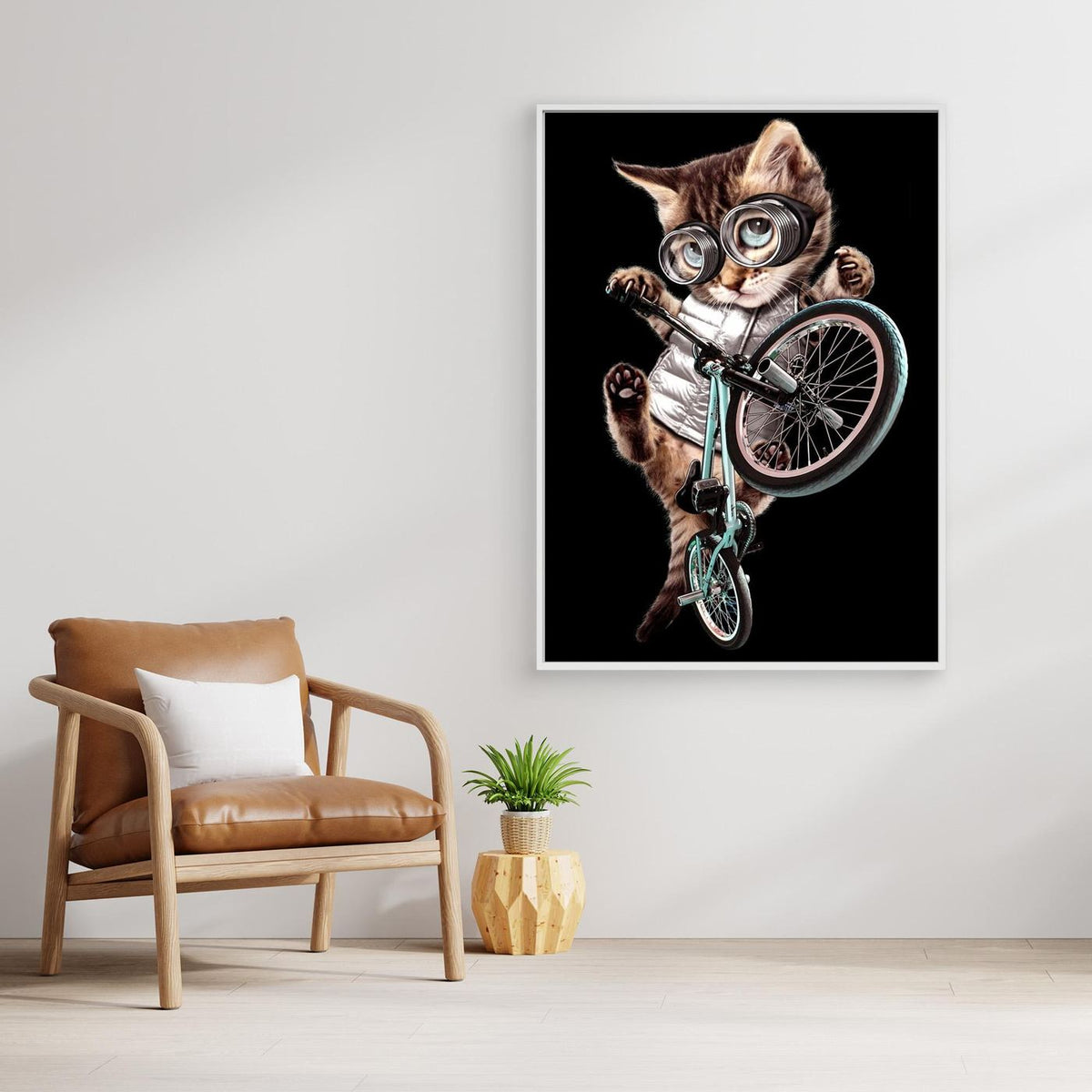 bmx cat by Adam Lawless
