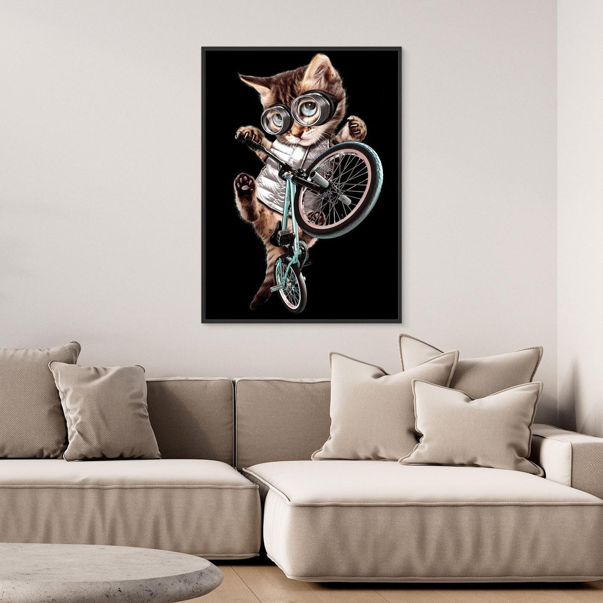 bmx cat by Adam Lawless