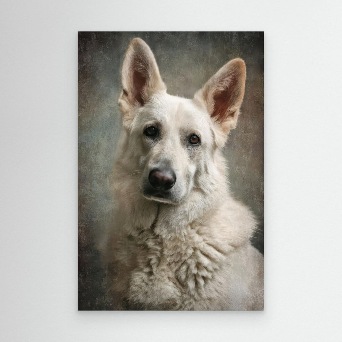 Beautiful White Swiss Shepherd Dog 4 by Rafal Kulik