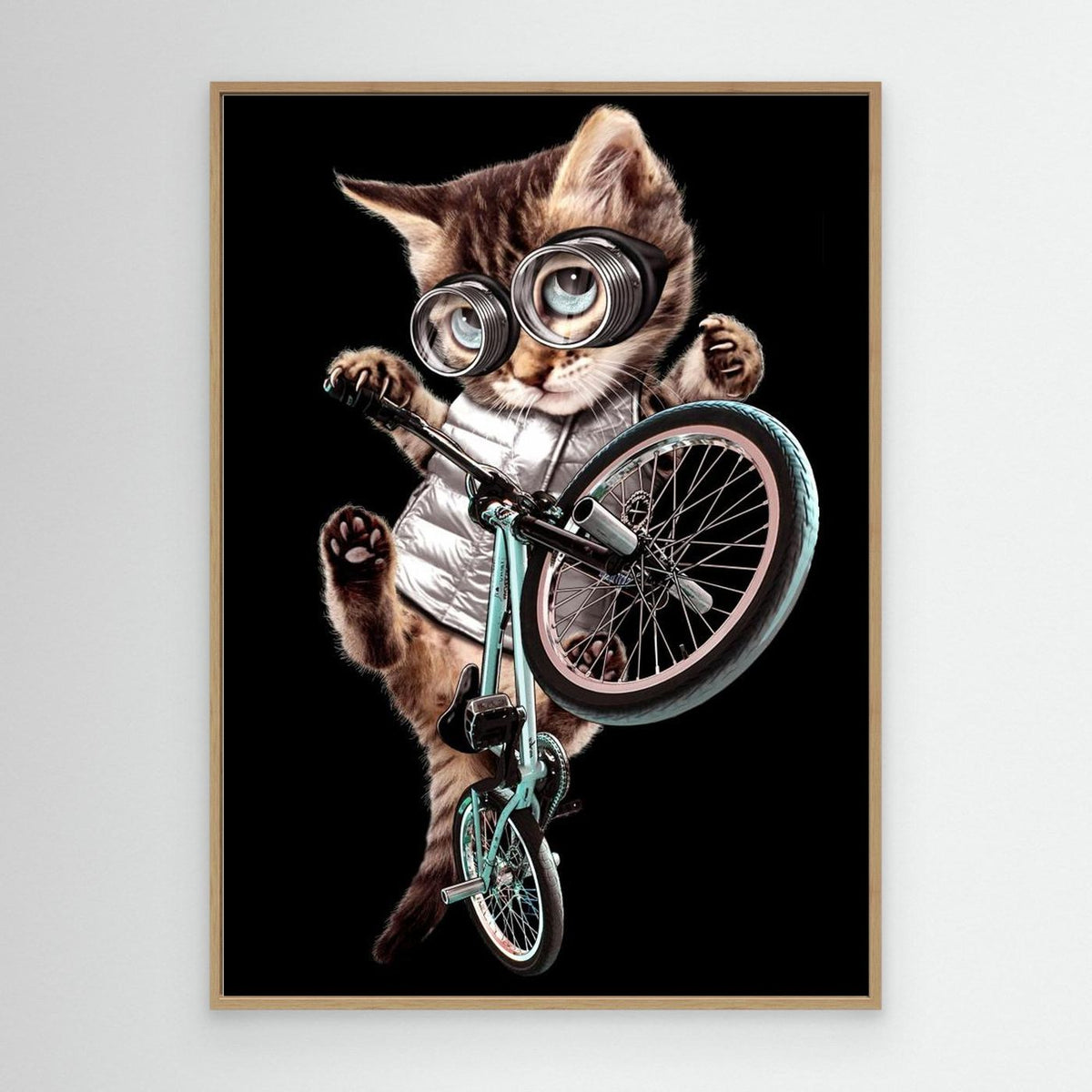 bmx cat by Adam Lawless