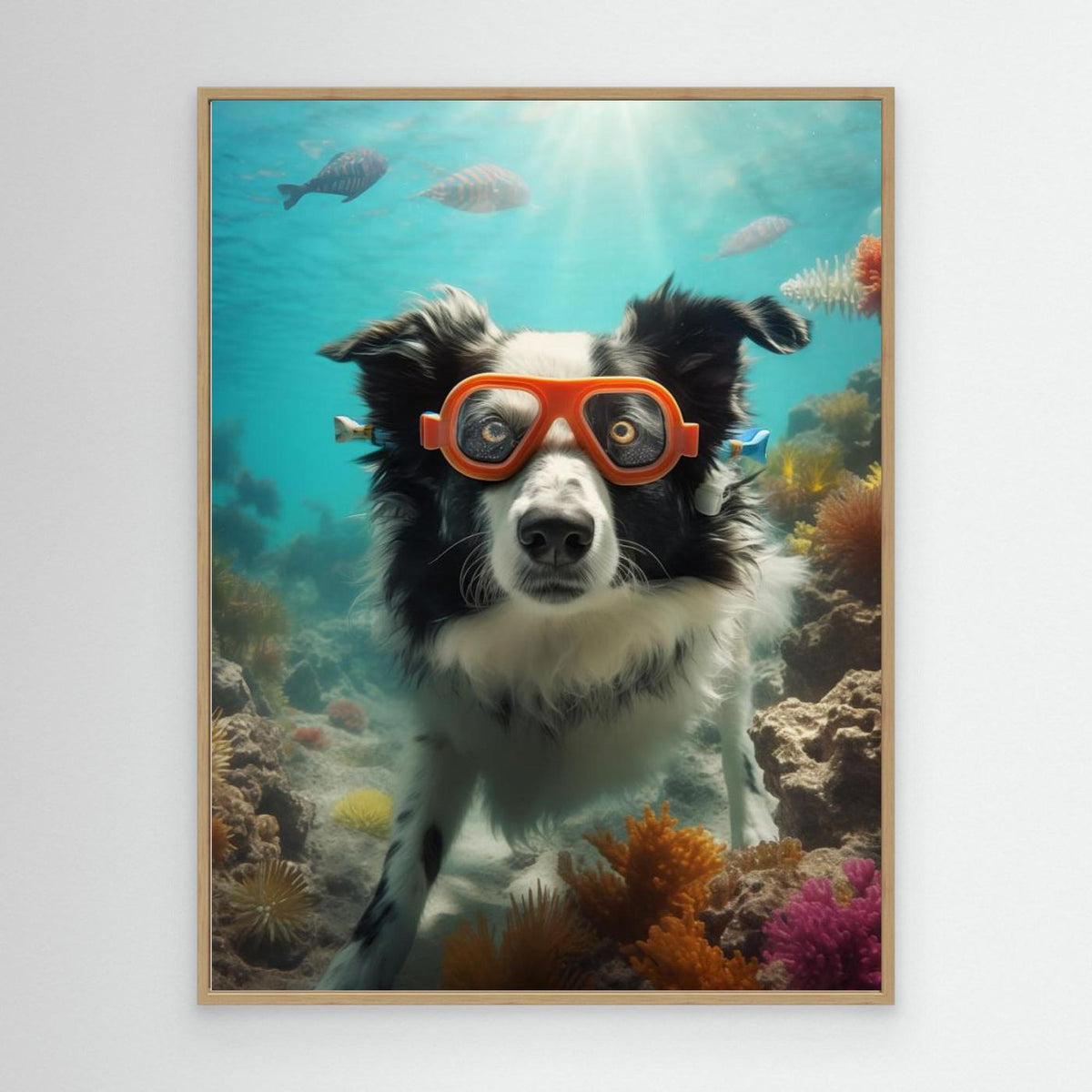 Border Collie Dive 1 by Andreas Magnusson