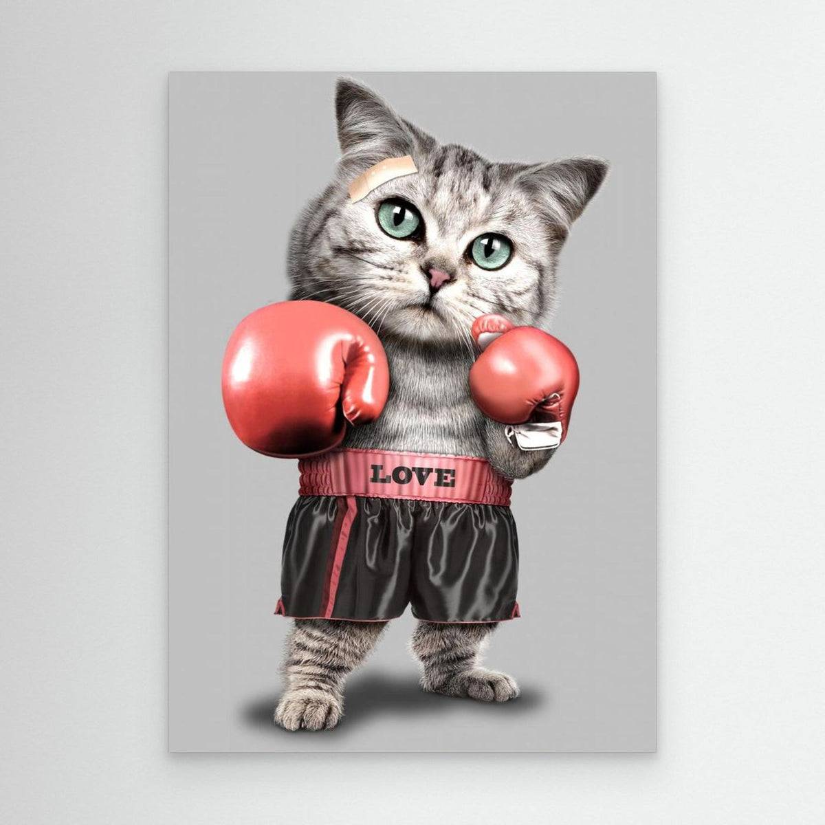 boxing cat by Adam Lawless