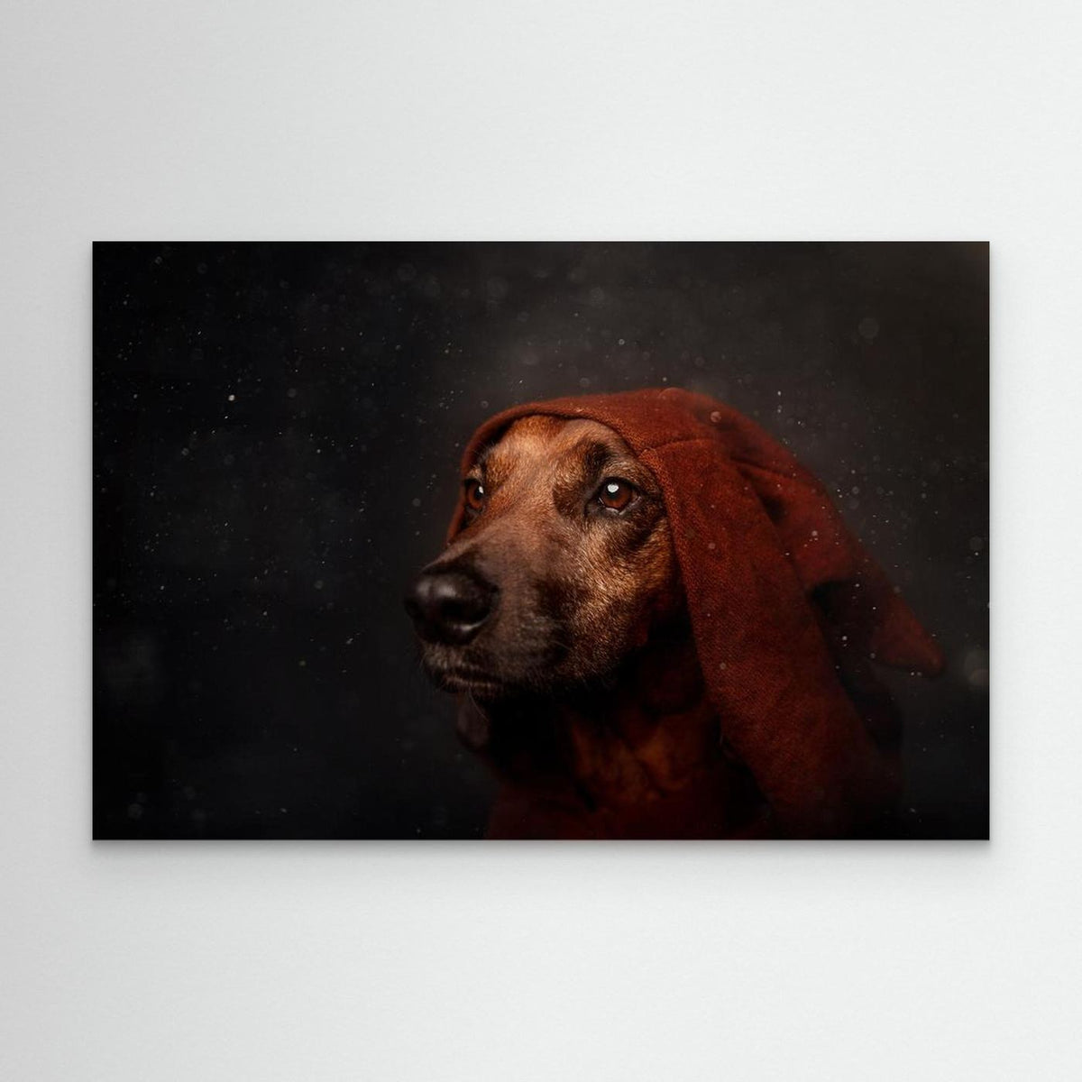 The Night-Watchman by Heike Willers