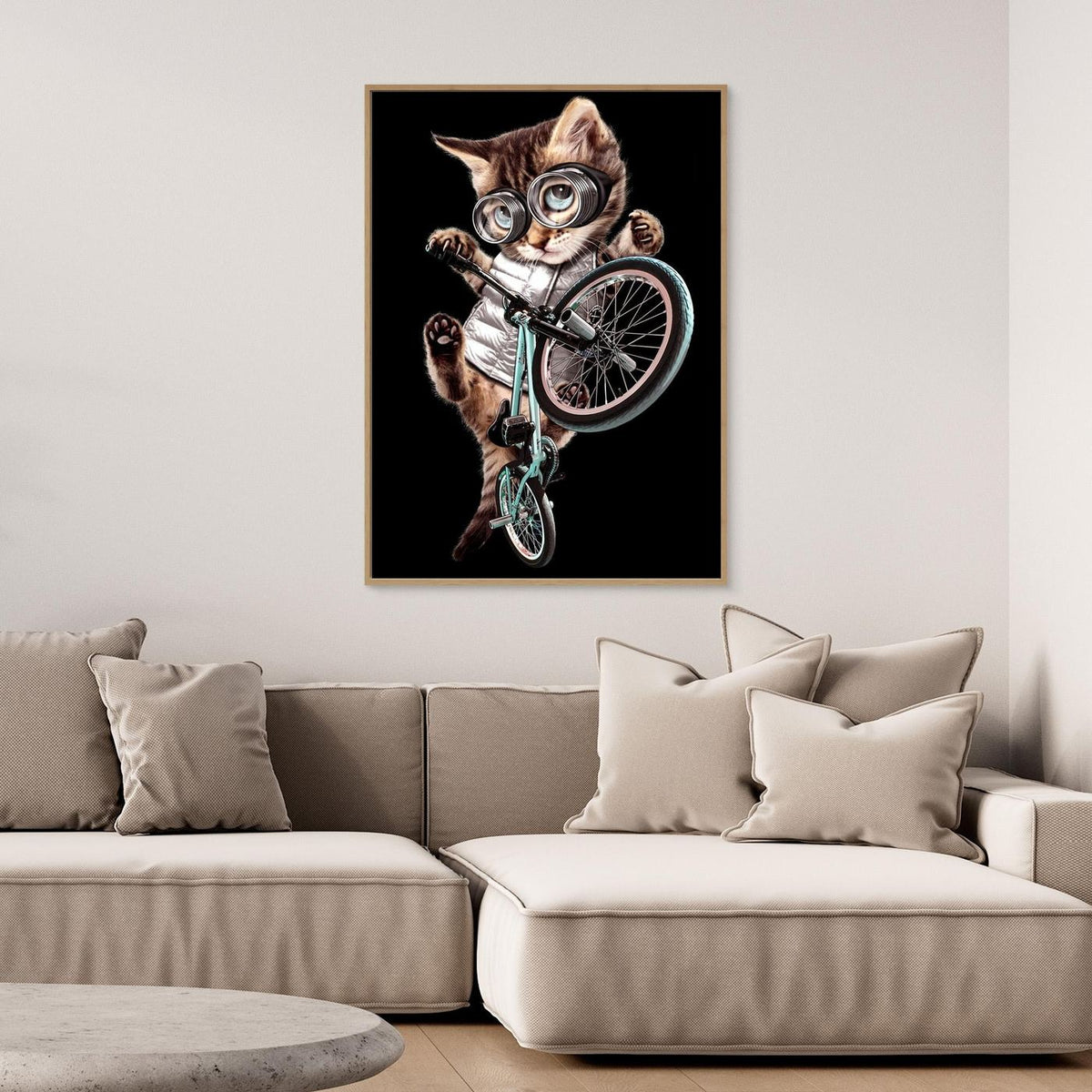 bmx cat by Adam Lawless