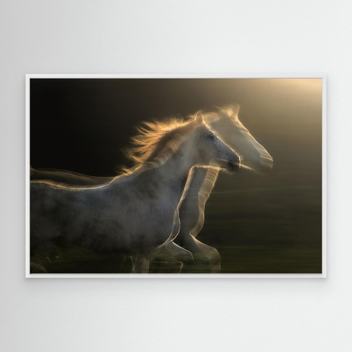 Echoes of light by Milan Malovrh