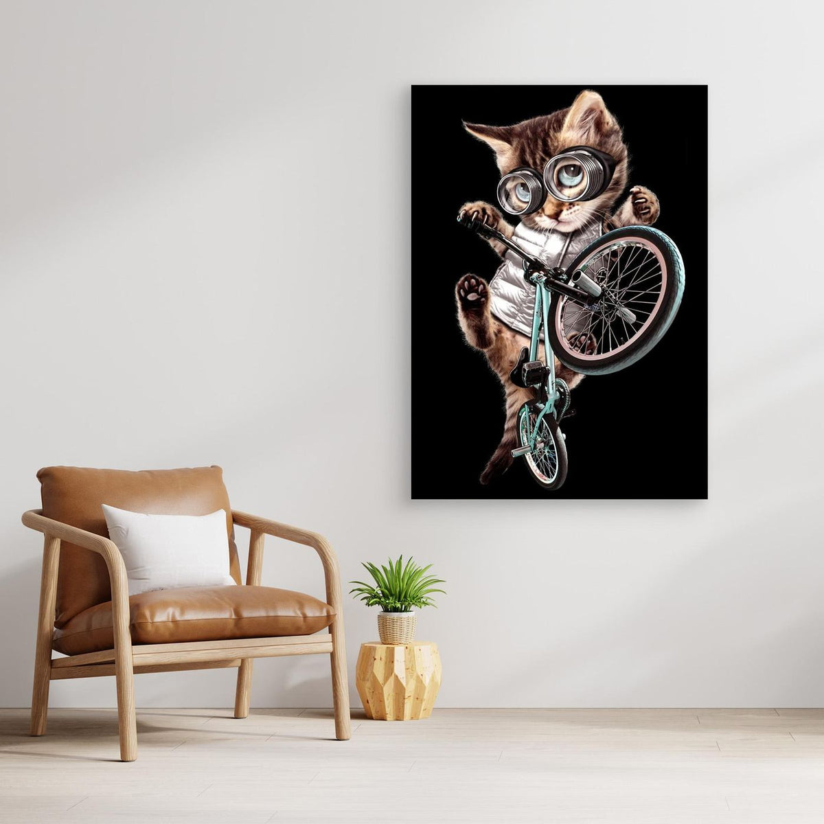 bmx cat by Adam Lawless