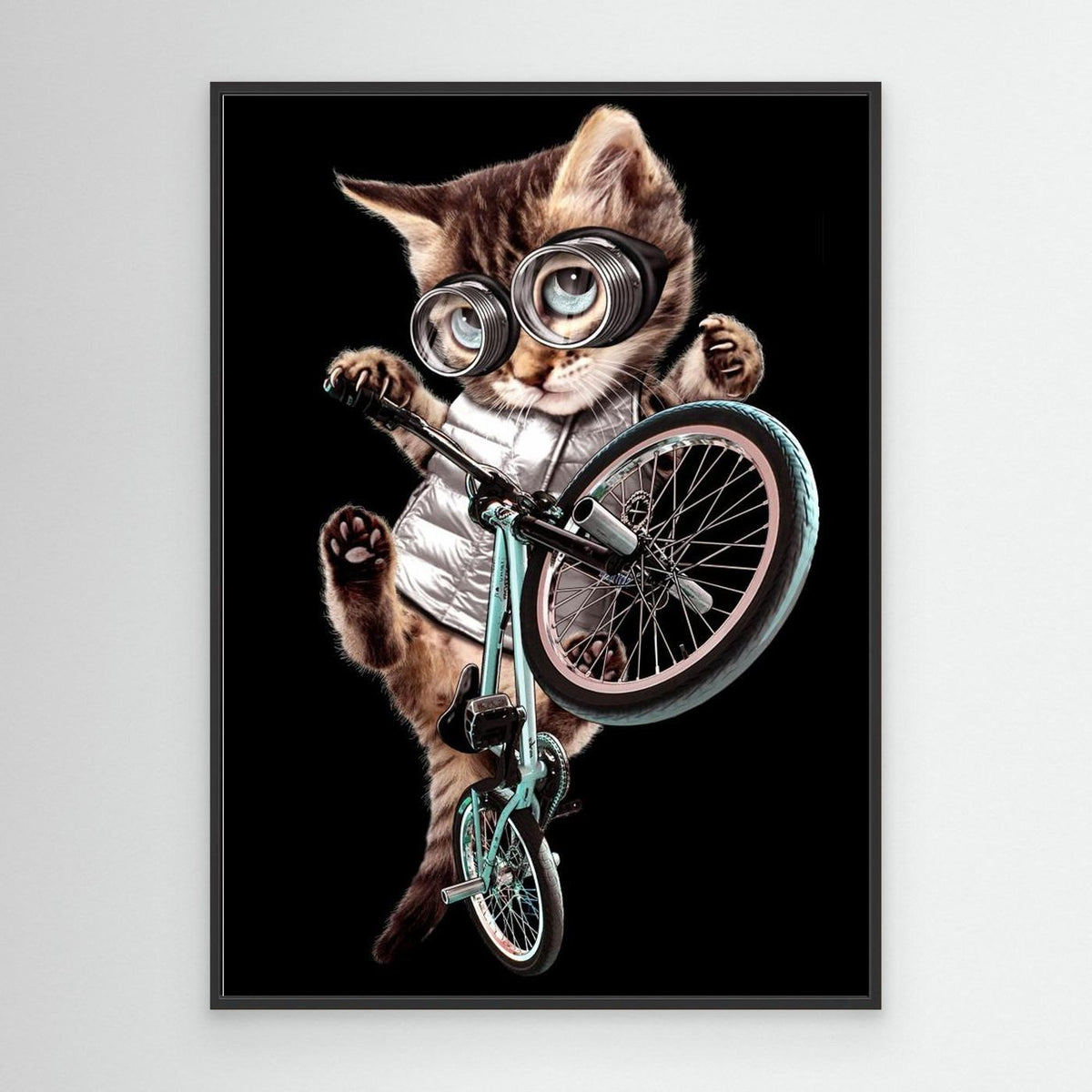 bmx cat by Adam Lawless