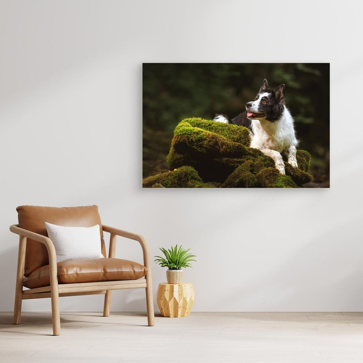 Border Collie Soaking Up the Serene Forest Escape: A Green Oasis by Davorin Baloh
