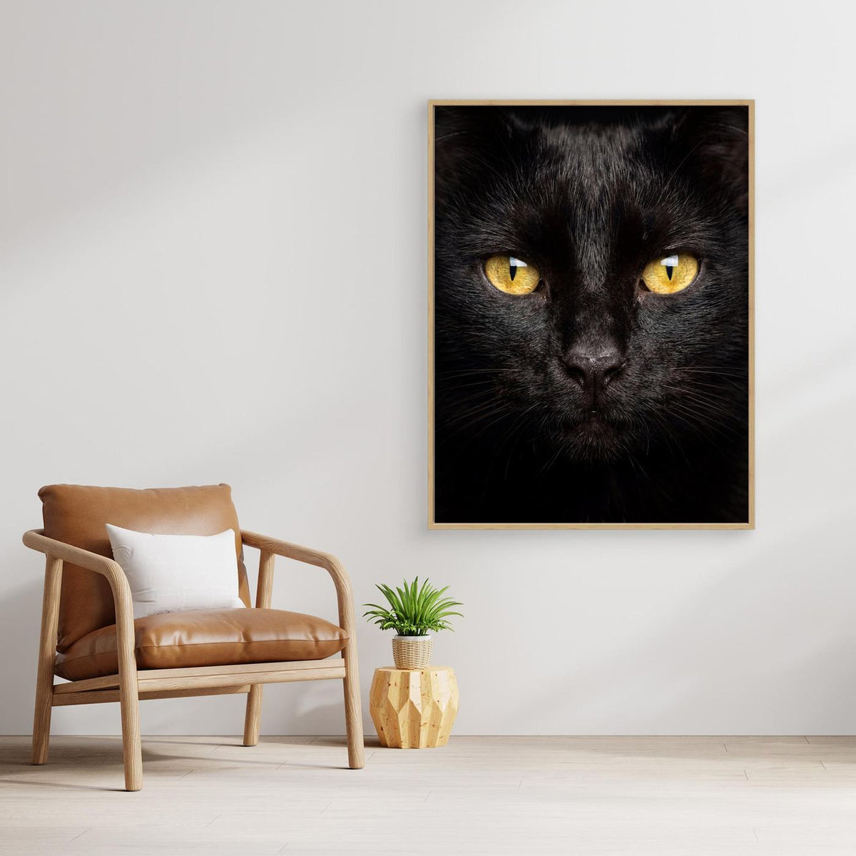 Black Cat Golden Eyes by Andreas Magnusson