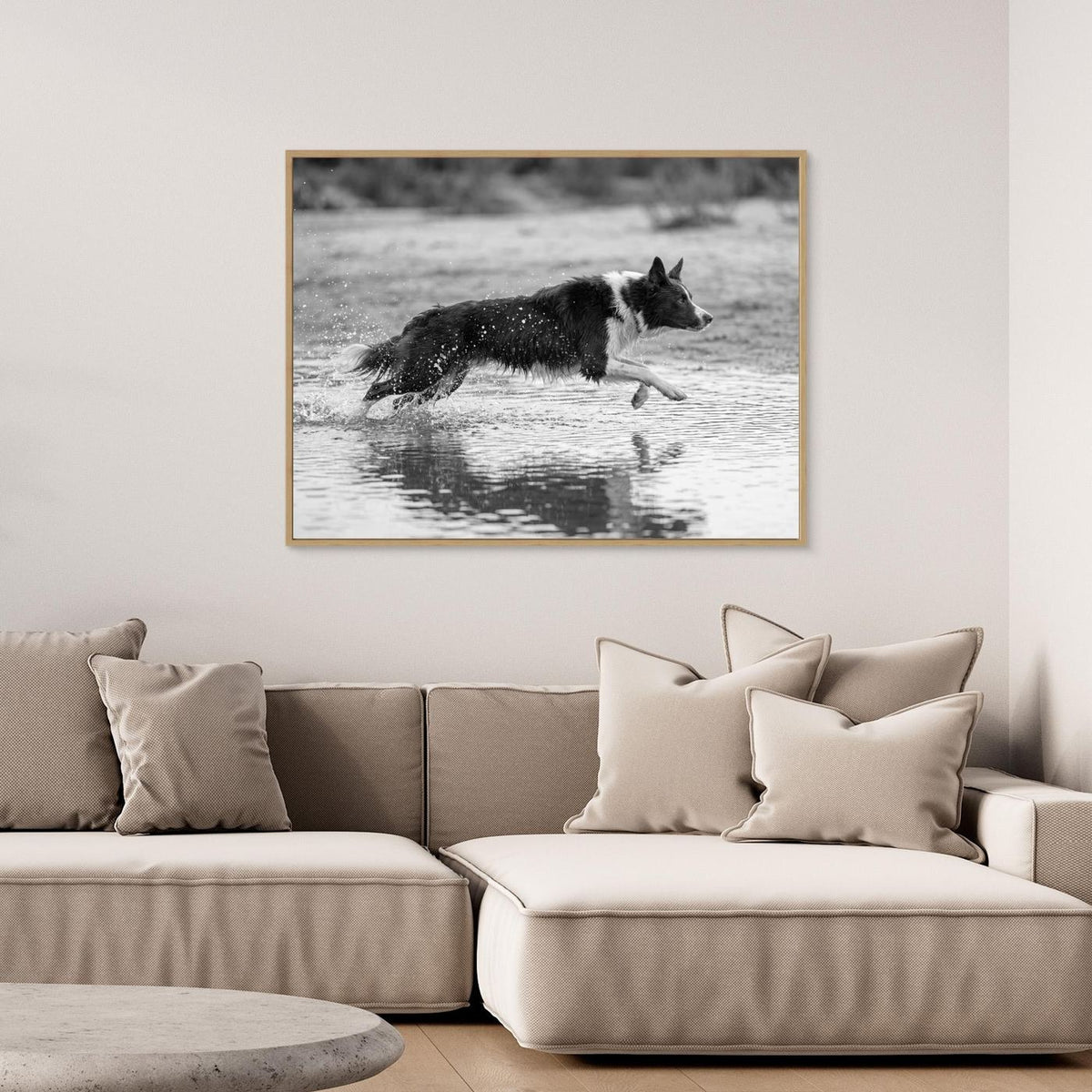 Playful Dog Splashing by Andreas Magnusson