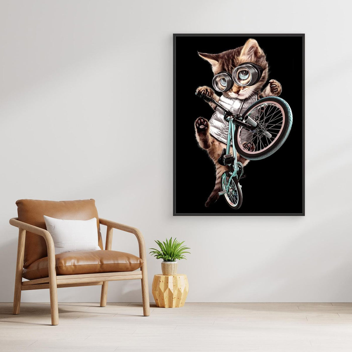 bmx cat by Adam Lawless