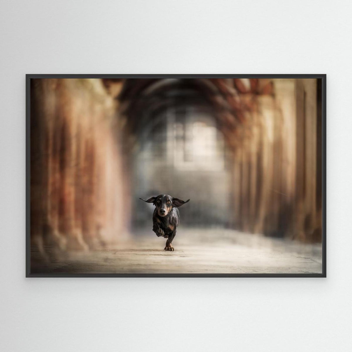 "He who leaps for the sky may fall, it's true. But he may also fly.”  ― Lauren Oliver by Heike Willers
