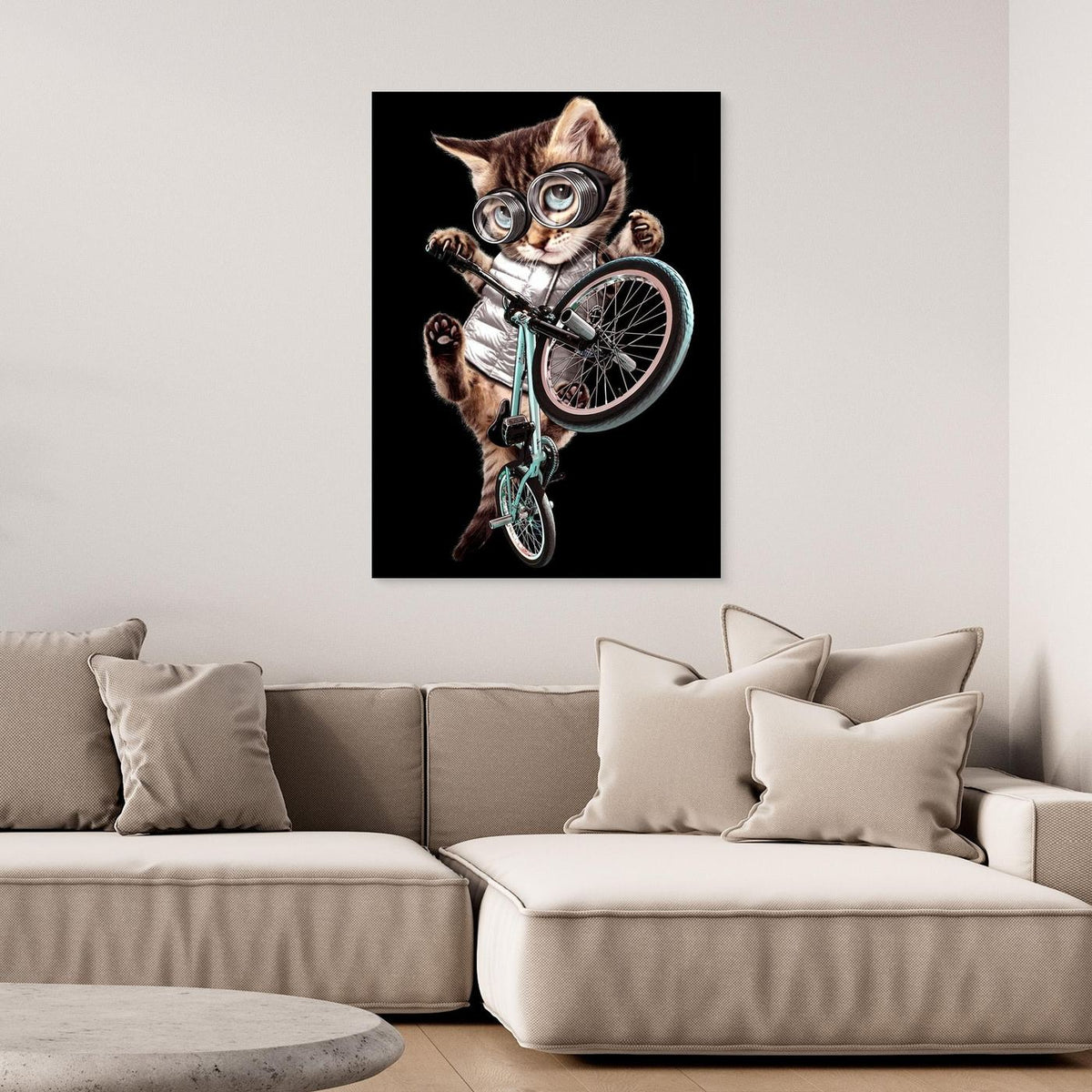 bmx cat by Adam Lawless